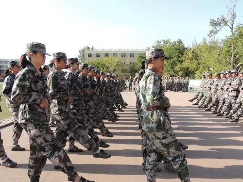 军训最新爆料文案,最新爆料揭秘训练场上的热血瞬间  第2张